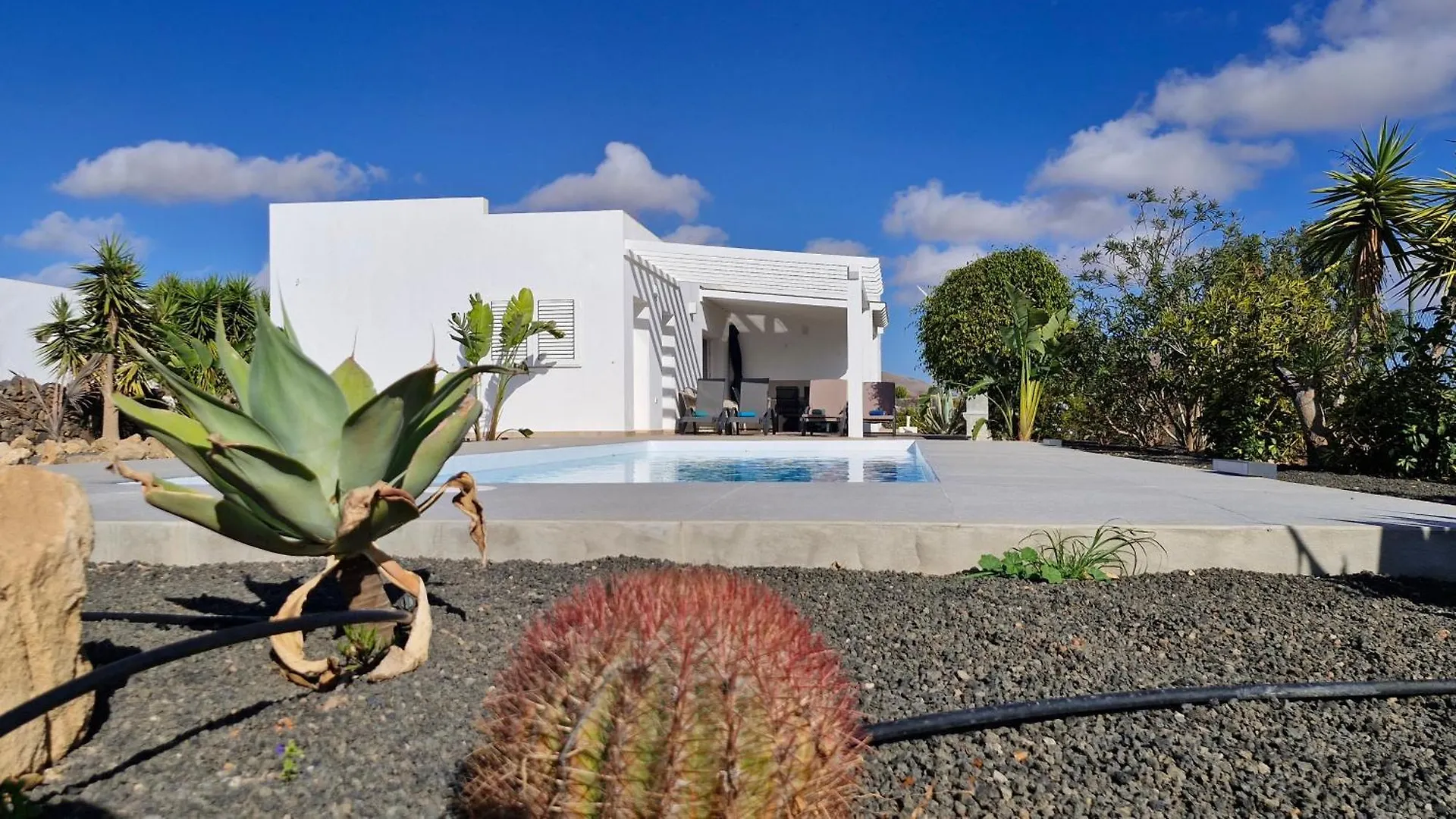 Villa Estrella De Blanca La Oliva