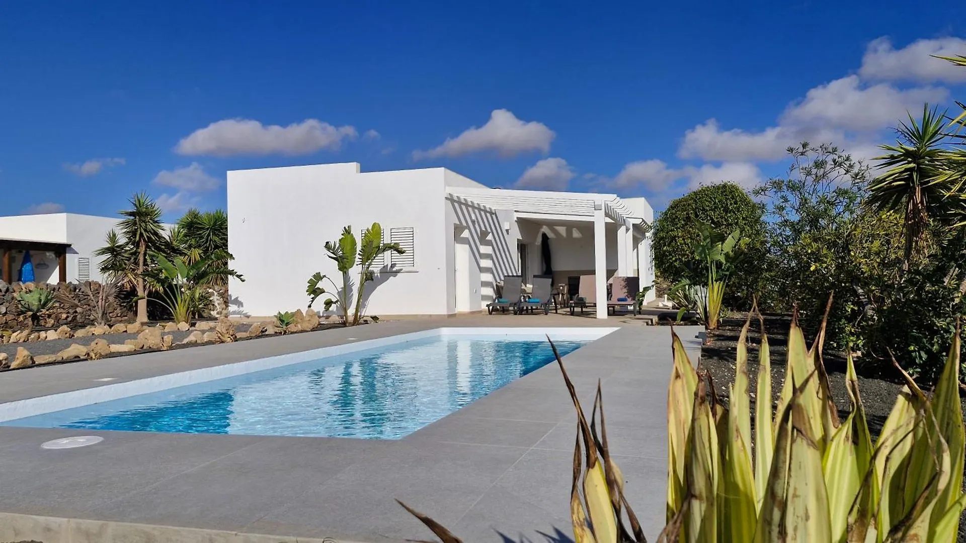 Villa Estrella De Blanca La Oliva